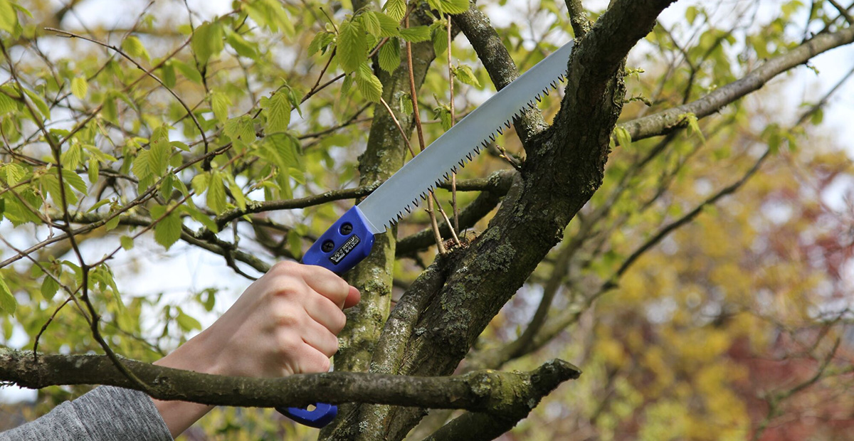 Tuingereedschap Winkel -Tuingereedschap Winkel 1