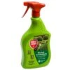Curalia Spray Buxus 1 Liter 2 Curalia Spray Buxus 1 Liter -Tuingereedschap Winkel curalia spray buxus 1 liter s202311 m745 sbm80579004 curalia spray buxus 1 liter is een bestrijdingsmiddel en bestaat uit 2 vers