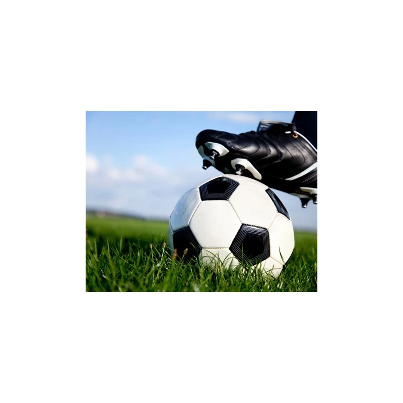 Graszaad Green Star SV 7 15 Kg 4 Graszaad Green Star SV 7 15 Kg - Afbeelding 2