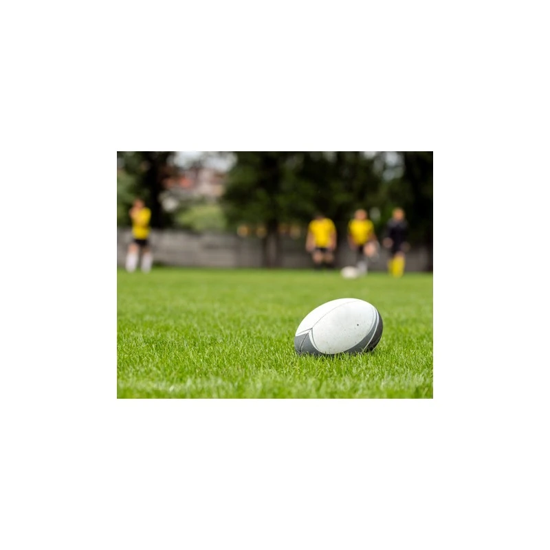 Graszaad Green Star SV 8 15 Kg 4 Graszaad Green Star SV 8 15 Kg - Afbeelding 2