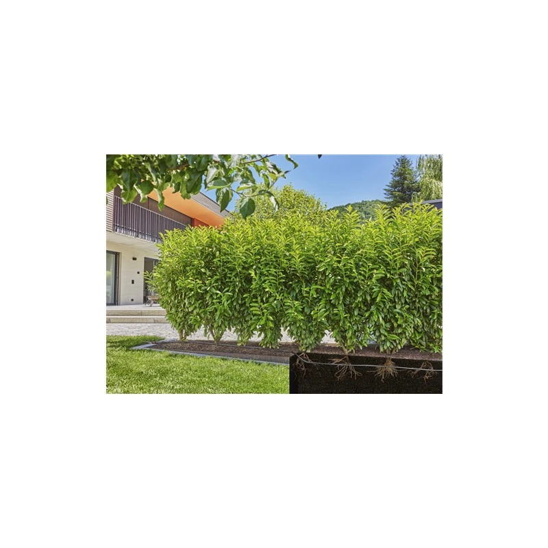 Gardena Micro-Drip-Bewatering Heggen & Struiken Set 25 M 6 Gardena Micro-Drip-Bewatering Heggen & Struiken Set 25 M - Afbeelding 4