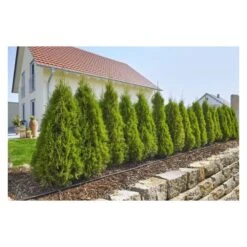 Gardena Micro-Drip-System Startset S Voor 15m Rijplanten