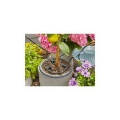 Gardena Vakantiebewateringsset AquaBloom Set -Tuingereedschap Winkel vakantiebewateringsset aquabloom set 5