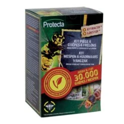 Wespenval Met Lokstof