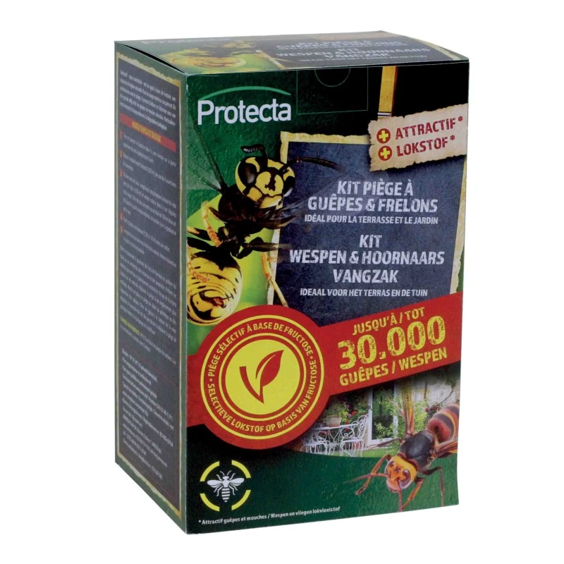 Wespenval Met Lokstof 3 Wespenval Met Lokstof